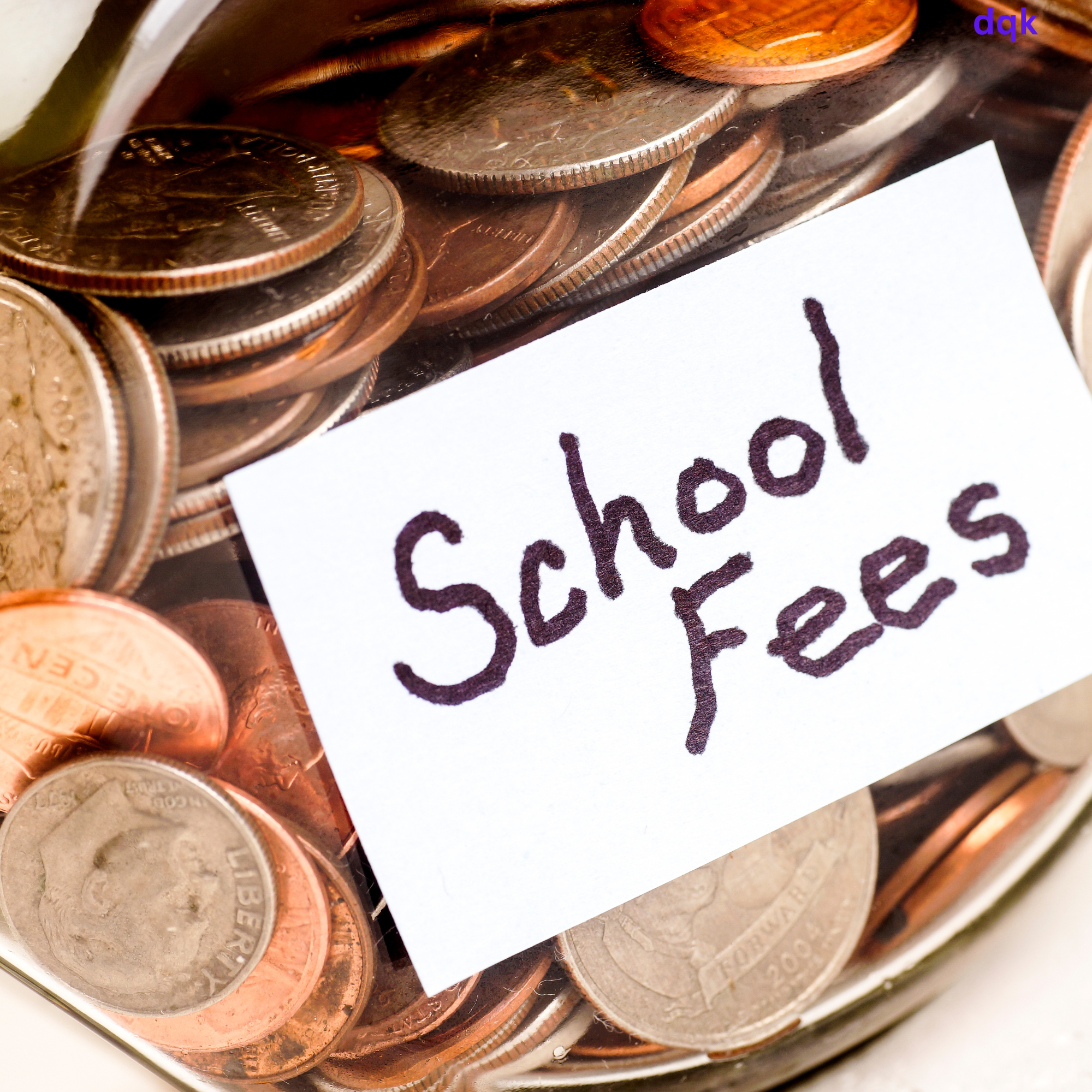 Student Fee Support
